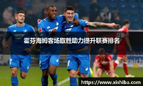 霍芬海姆客场取胜助力提升联赛排名