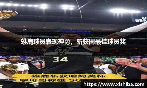 球盟会平台