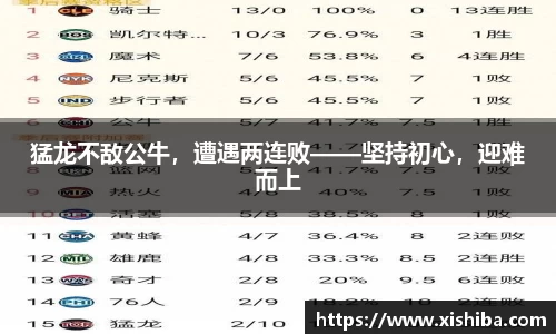 猛龙不敌公牛，遭遇两连败——坚持初心，迎难而上