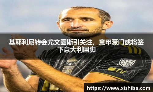 基耶利尼转会尤文图斯引关注，意甲豪门或将签下意大利国脚