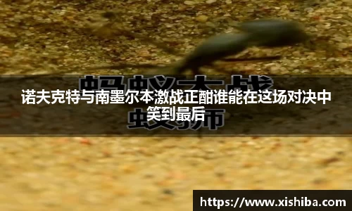 球盟会